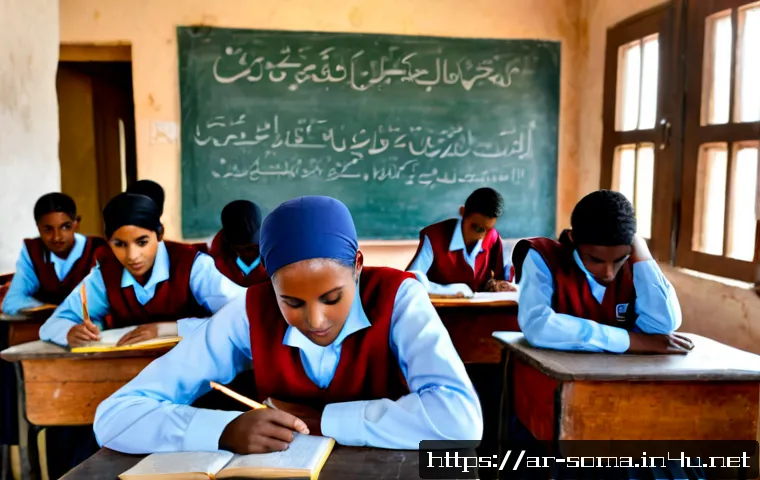 Home 17 소말리아에서의 교육 기회 - Photorealistic documentary-style scene of Somali schoolgirls and schoolboys in neat modest uniforms ...